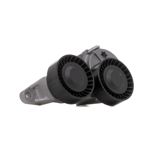 RIDEX 310T0054 Spanrol, poly v-riem Volvo V70 SW 2.4 CDI 122 Pk Diesel prijs