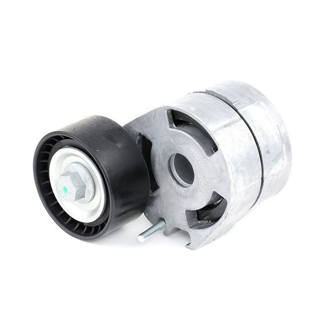 Poulie, tendeur de courroie d'accessoire 310T0046 RIDEX 2S616A228AE PEUGEOT
