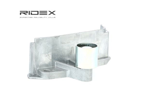 RIDEX 313D0107 Parazīt- / Vadrullītis, Zobsiksna
