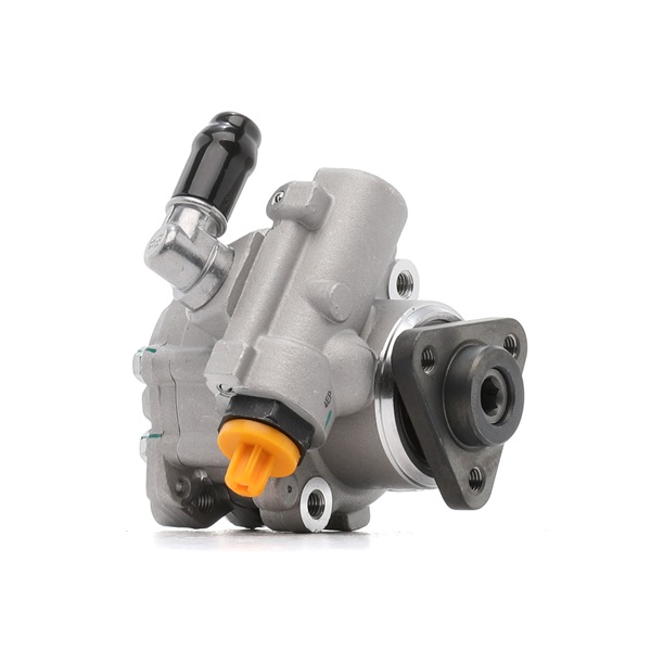 RIDEX 12H0023 Servopumpe Passat 3B5 2.8 V6 Syncro/4motion 193 PS Benzin Kosten