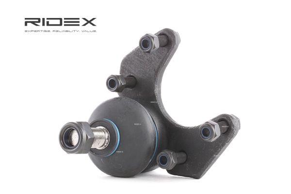 Bærekugle 2462S0061 RIDEX 77 00 465 689 RENAULT