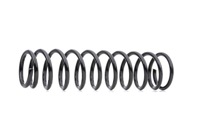 RIDEX 188C0127 Federn Mitsubishi Carisma DAO 1.6 99 PS Benzin Kosten