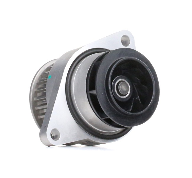 INA 538003110 VW Polo 9A4 Vandpumpe pris