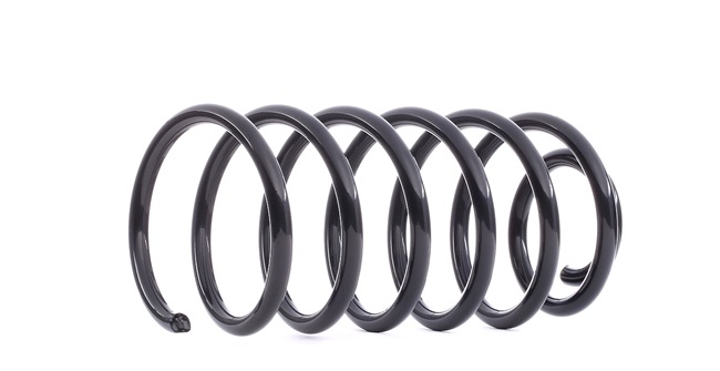 RIDEX 188C0219 Federn VW Beetle 9c 1.6 102 PS Benzin Kosten