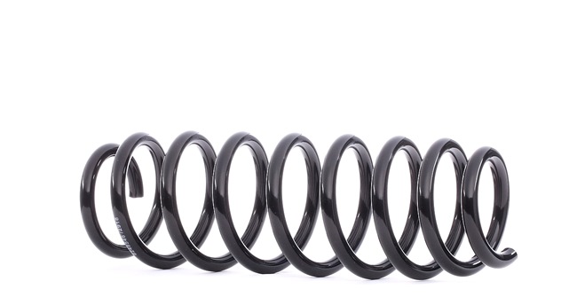 RIDEX 188C0248 Ressort de suspension RIDEX 188C0248 Ressort de suspension