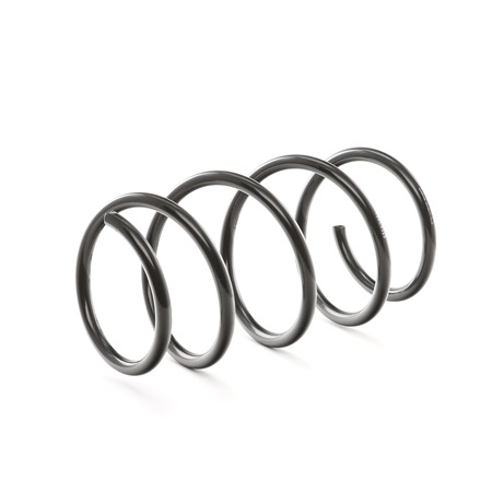 RIDEX 188C0325 Ressort de suspension