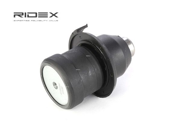 RIDEX 2462S0158 Kande- / juhtliigend