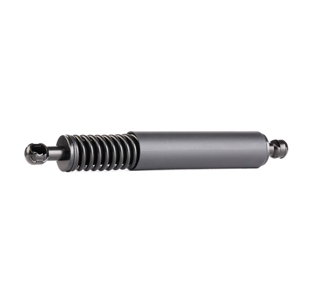 219G0493 RIDEX Amortecedores de bagageira Porsche baratos