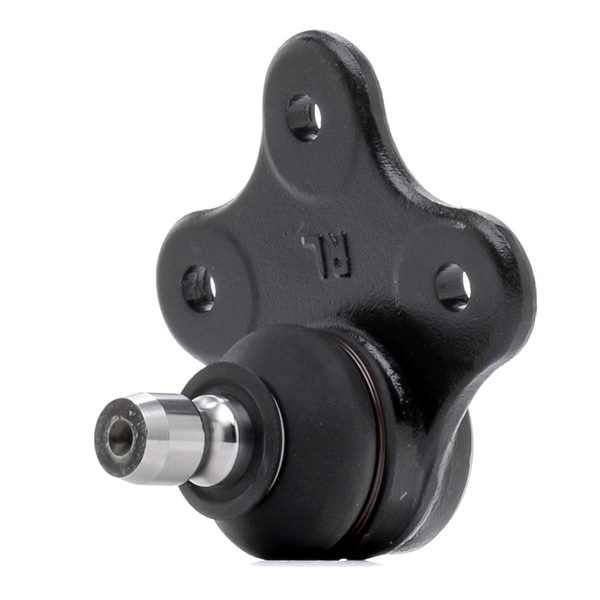 MAGNETI MARELLI Skrutka pre nastavenie odklonu kolesa SKODA 301181311880
