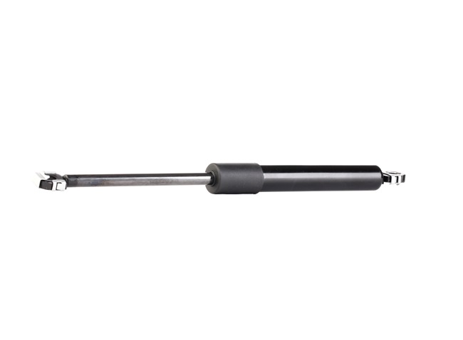 RIDEX 219G0470 Gasveer achterklep