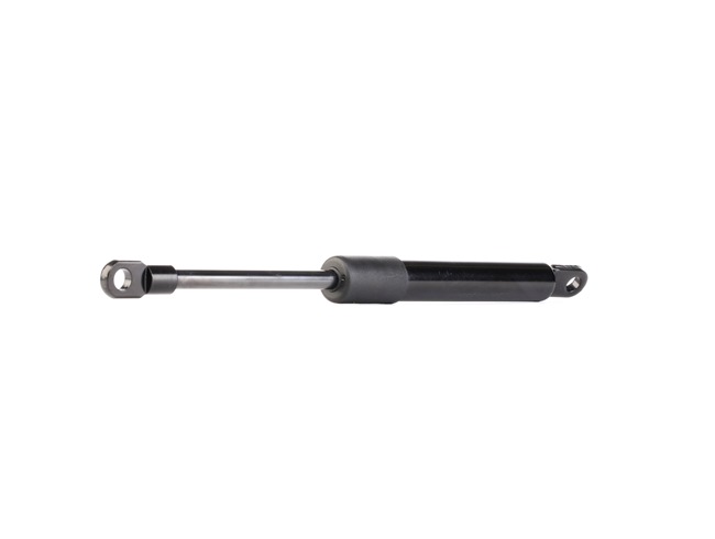 RIDEX Amortecedores da mala PORSCHE 219G0497