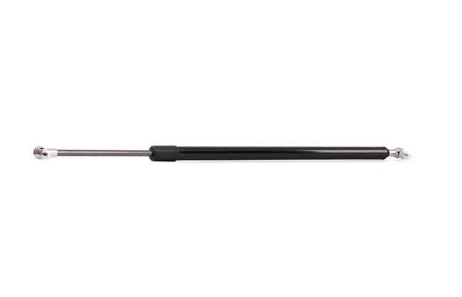 RIDEX 219G0489 Vérin, vitre arrière