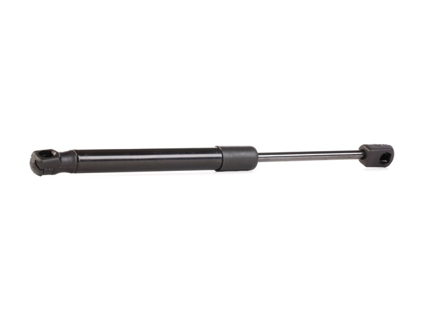219G0454 RIDEX pistoncini portellone Hyundai Sonata NF 2.0 VVTi GLS 144 CV Benzina prezzo