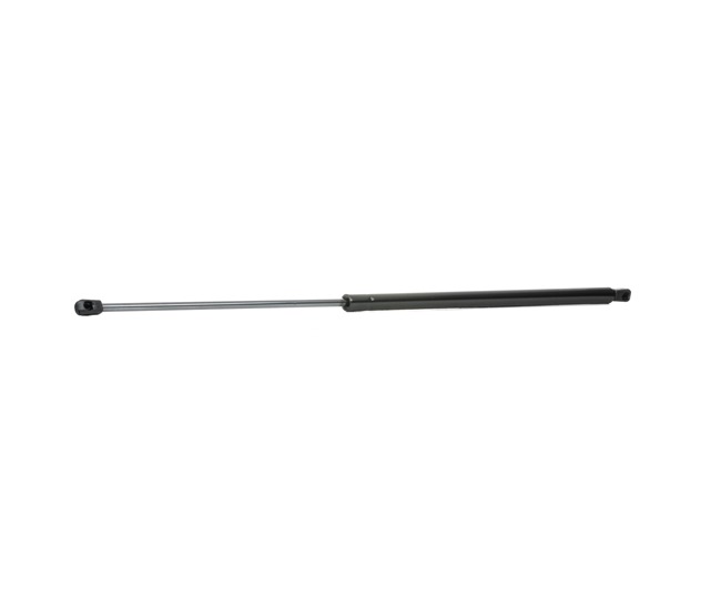 RIDEX 219G0601 Tailgate strut