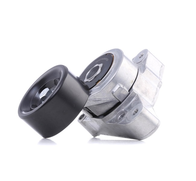 Galet tendeur de courroie d'accessoire 310T0173 RIDEX 31170RAAA02 ACURA
