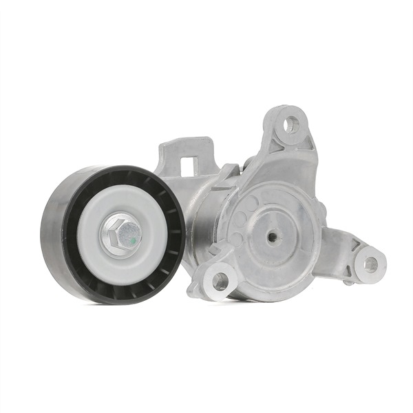 Napinacz, pasek klinowy wielorowkowy 310T0259 RIDEX 16 11 425 380 BMW