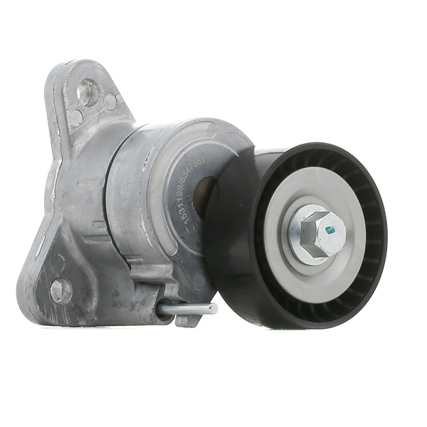 RIDEX Kiristinrulla DODGE 310T0251