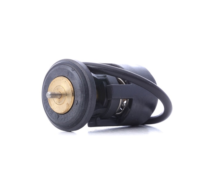 MASTER-SPORT 653627487 Thermostat d'eau