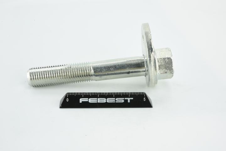 FEBEST 0529-003 Camberbult