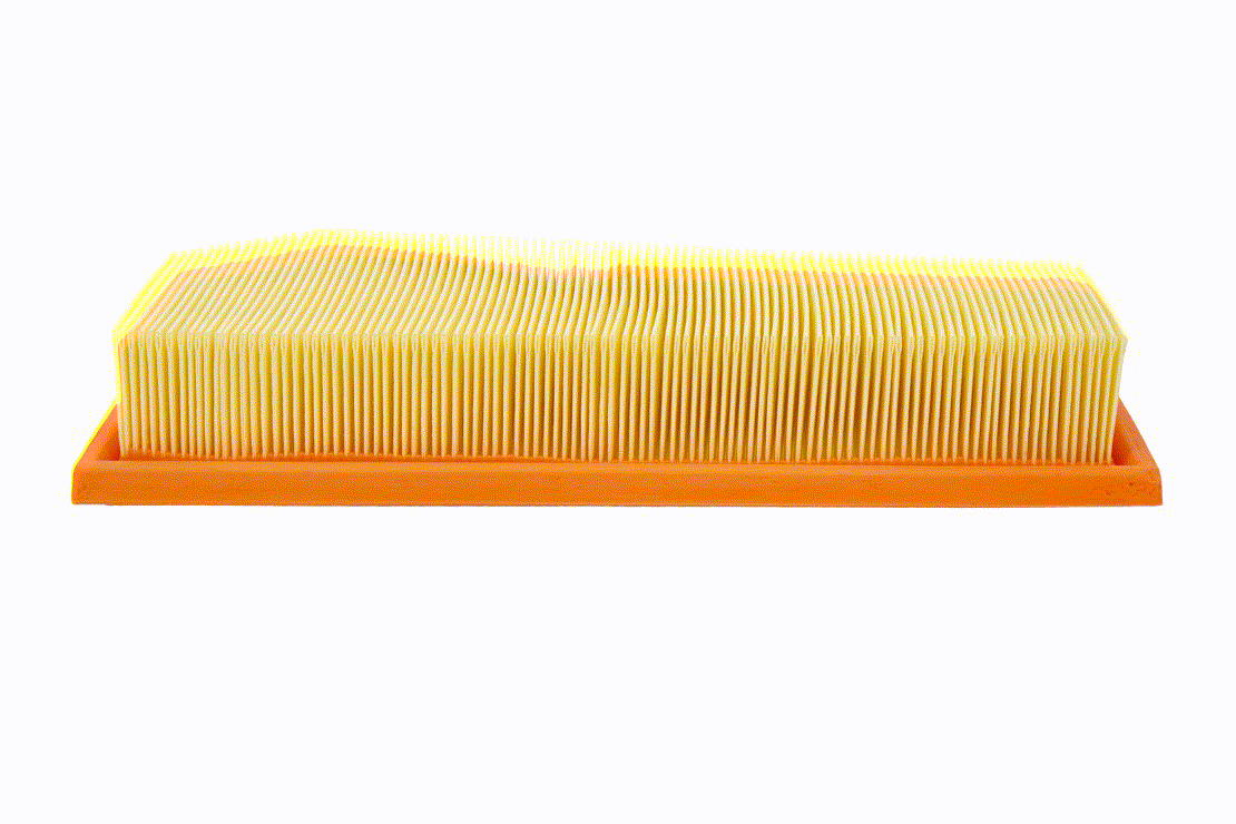 VAICO 1068702 Luftfilter