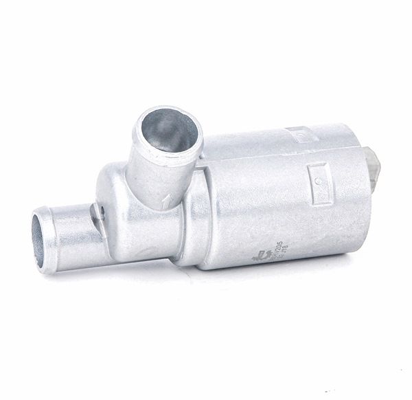 ESEN SKV 08SKV205 PEUGEOT 206 Leerlaufregler Kosten