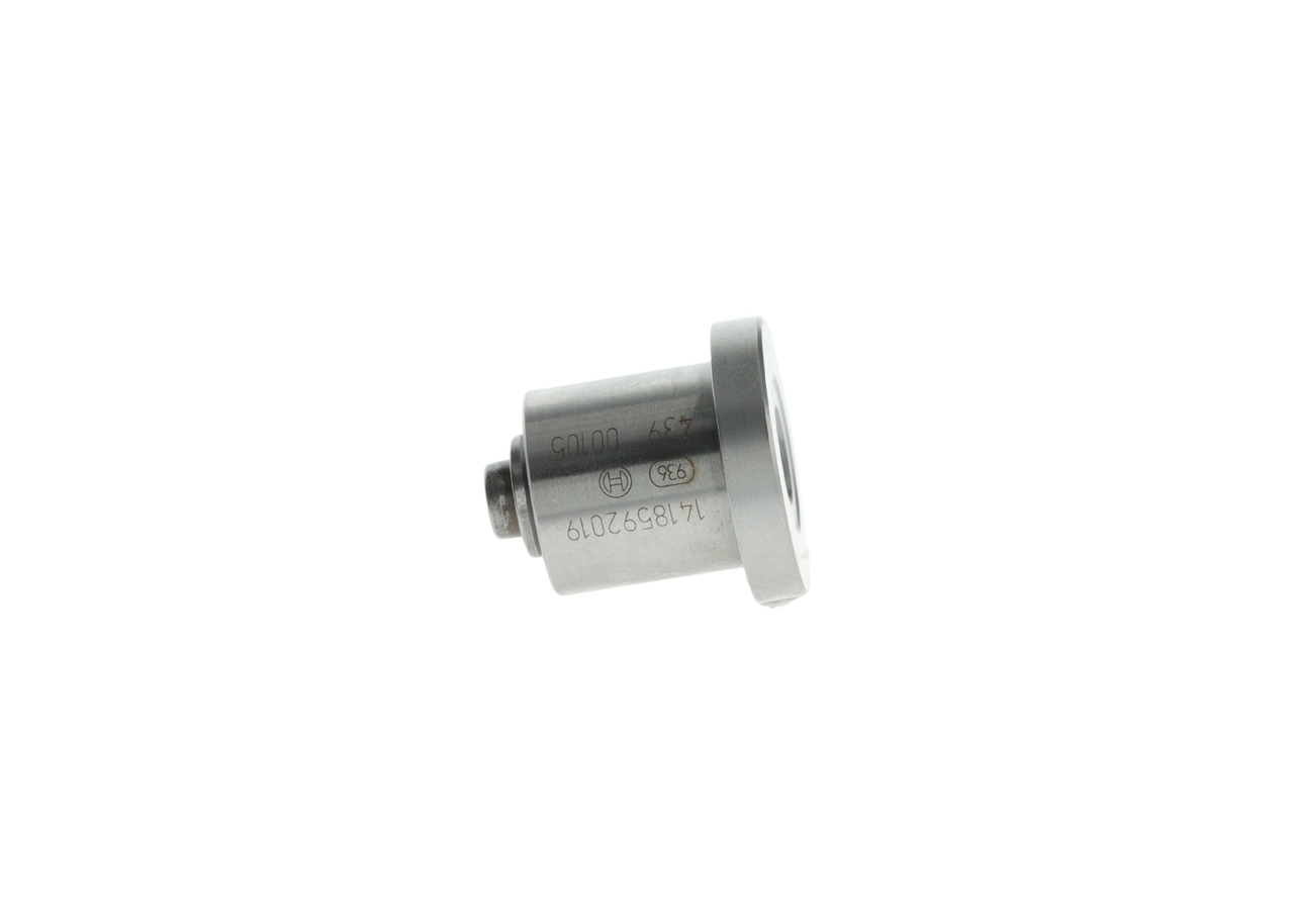 BOSCH 1 418 592 019 Válvula