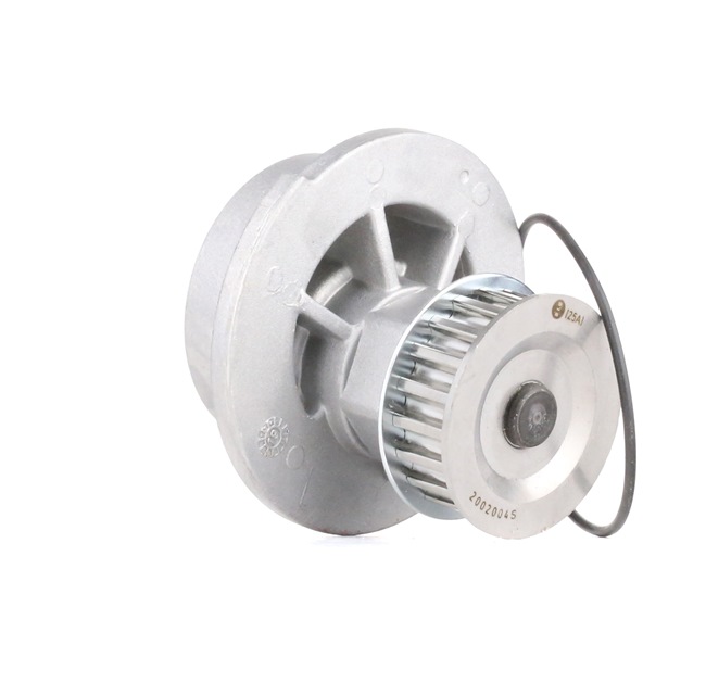 Verkkokauppa: Vesipumppu BOSCH 9 700