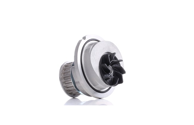 BOSCH 9 728 Pompe à eau