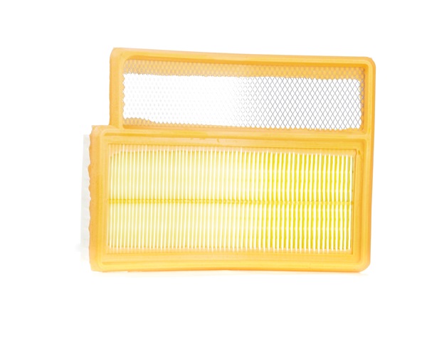 VAICO V24-0304 Filtro aria