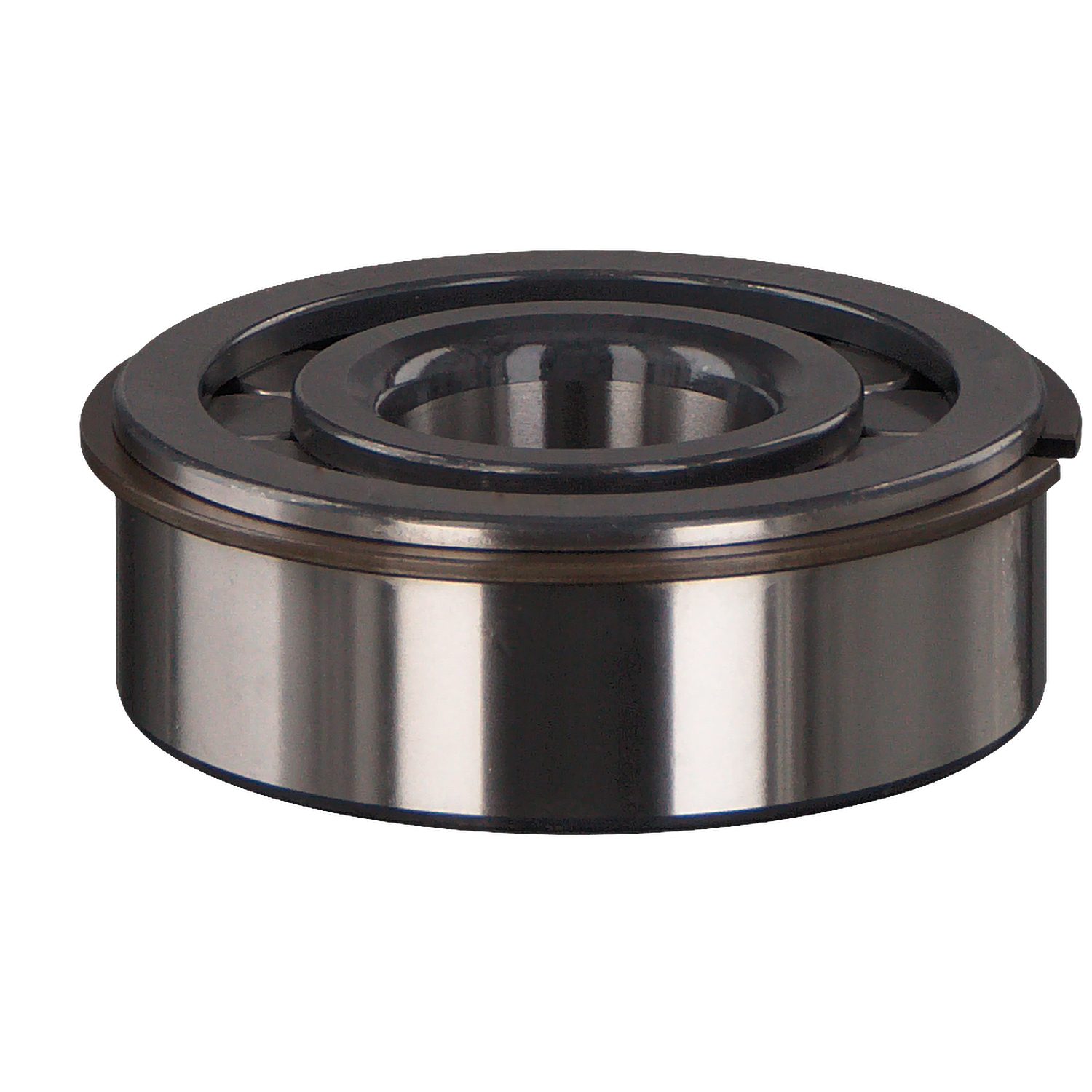 FEBI BILSTEIN 100673 Cojinete
