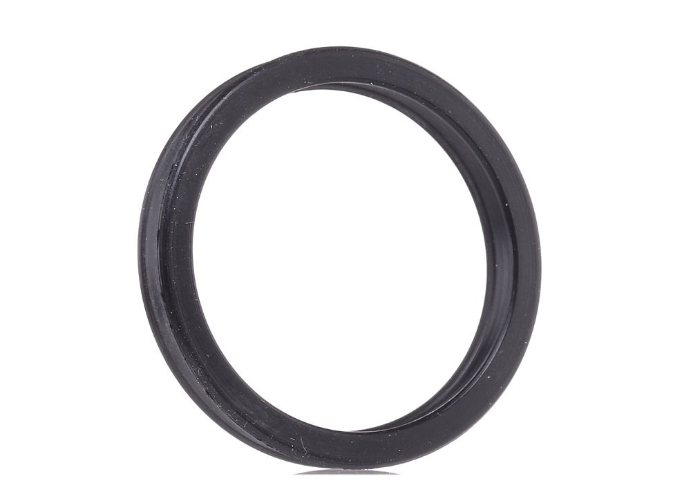 TOPRAN 109 638 Gaskets-image-8824641