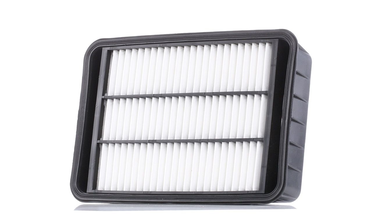 AUTOMEGA 180034710 Air filter Filter Insert-image-9094055