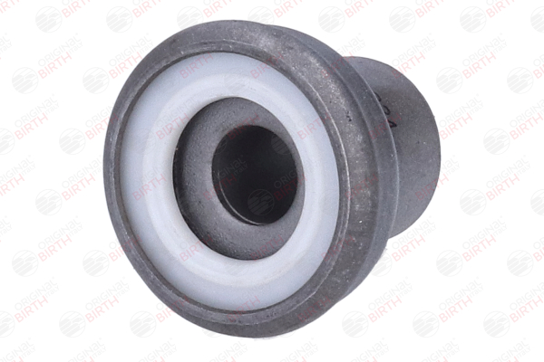 BIRTH 2333 Querlenkerlager VW T3 2.1 Syncro 87 PS Benzin Kosten