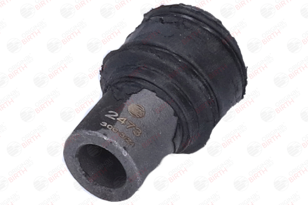 BIRTH 2473 Querlenkerlager Renault Master II Bus 2.5 dCi 115 PS Diesel Kosten