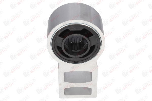 BIRTH 2522 Supporto braccio oscillante
