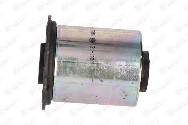 BIRTH 2606 Supporto braccio oscillante