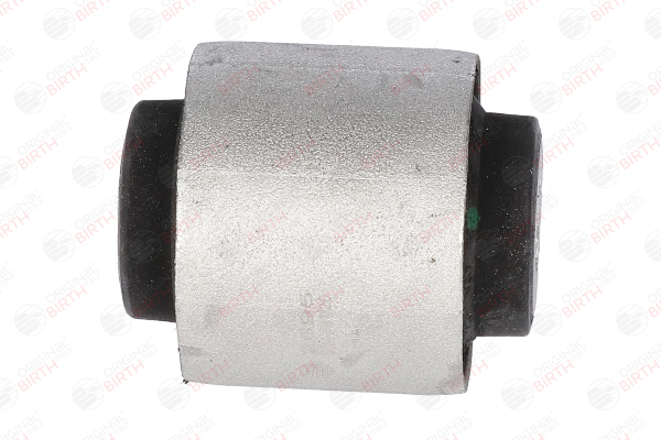 2695 BIRTH boccole braccio oscillante FIAT Doblo II Station Wagon (263) 1.8 MPI Flex (1196091) 132 CV Benzina/Etanolo prezzo