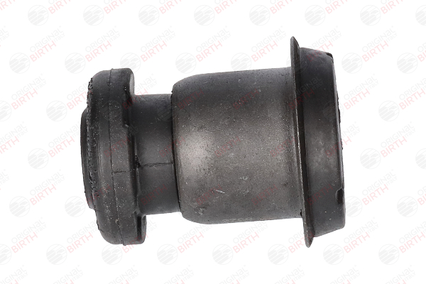 BIRTH 2700 Querlenker-Gummilager Ford Kuga Mk2 2.0 TDCi 4x4 163 PS Diesel Kosten