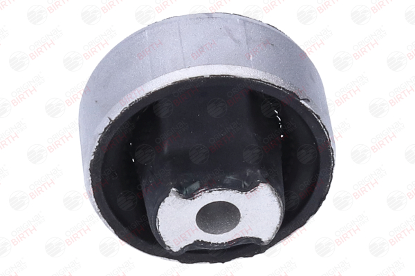 2733 BIRTH boccole braccio oscillante FIAT Doblo II Station Wagon (263) 1.8 MPI Flex (1196091) 132 CV Benzina/Etanolo prezzo