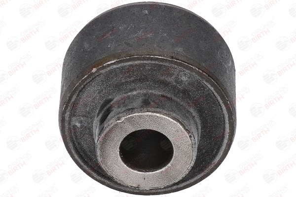BIRTH 2784 Supporto braccio oscillante