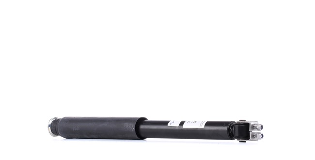 SACHS 317 390 Amort