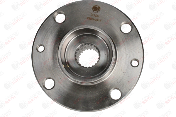 BIRTH 3300 Radnabe FIAT Doblo 119 1.9 D 63 PS Diesel Kosten
