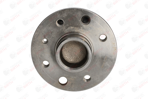 BIRTH 3423 Radnabe Opel Astra H 1.8 (L48) 125 PS Benzin Kosten