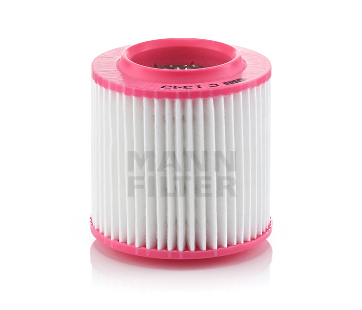 MANN-FILTER C 1343 Filtro aria