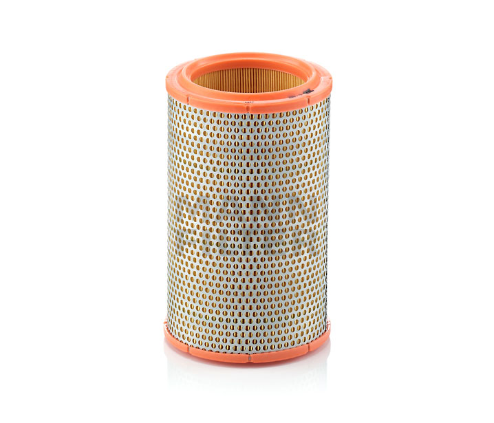 MANN-FILTER C 1387 Filtro aria