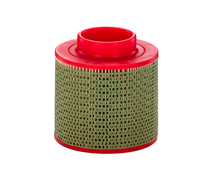 MANN-FILTER C 17 100 Filtre à air