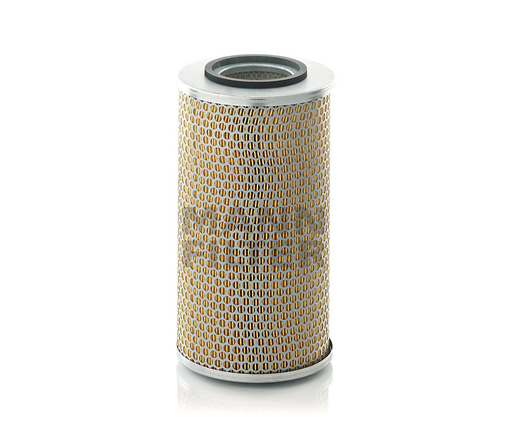 MANN-FILTER C 17 291 Filtre à air