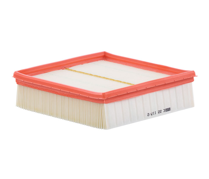 MANN-FILTER C 22 117/2 Filtro abitacolo