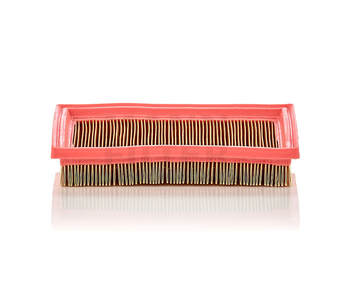 MANN-FILTER Õhufilter FORD C 2244
