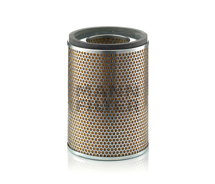 MANN-FILTER C 24 444/1 Filtro aria